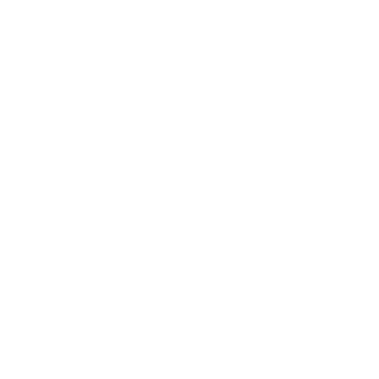 data_icon